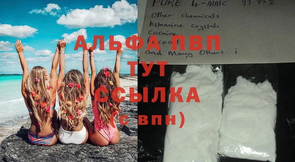 дмт Абаза