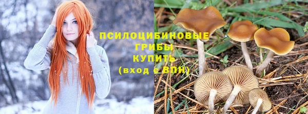 дмт Абаза