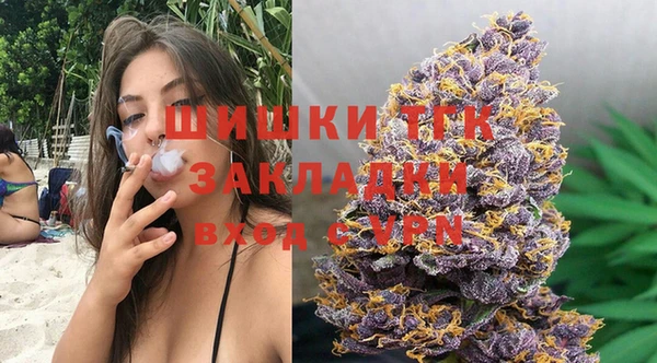 дмт Абаза