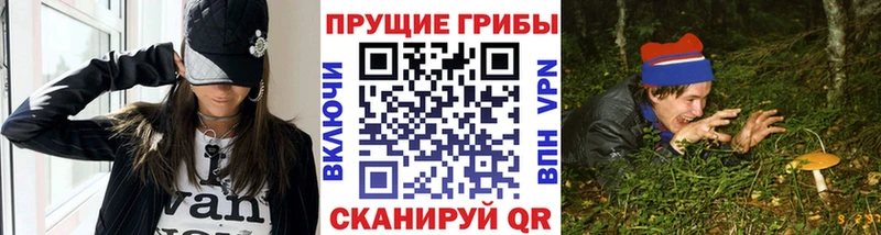 Псилоцибиновые грибы Psilocybe как найти закладки Касли
